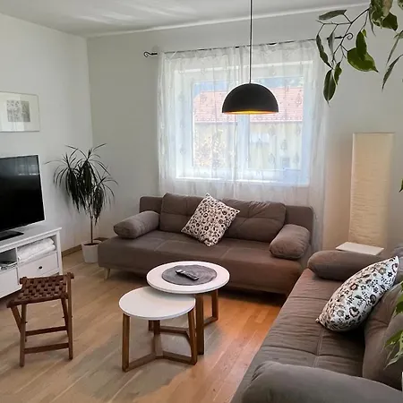 Wohlfuehlapartments Steiner 아파트